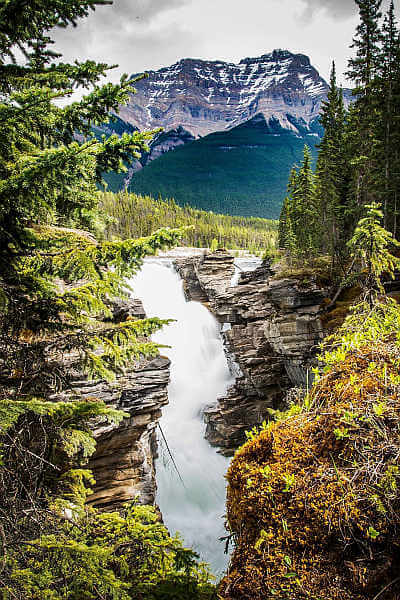 Athabasca Falls, Alberta, Canada