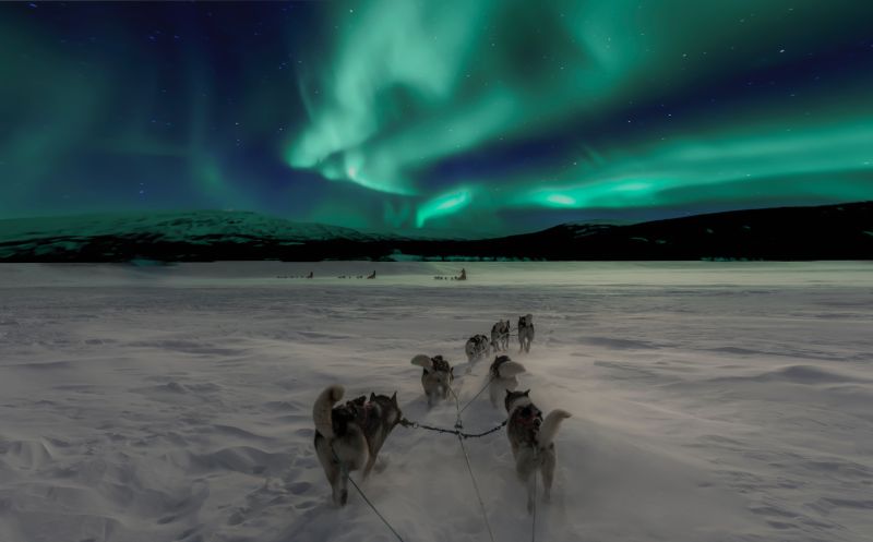 Hunting for the Aurora Borealis dog sledding in Abisko, Sweden