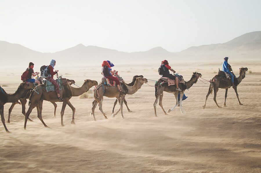 Experience Liwa Village desert safari. people riding camels in the desert